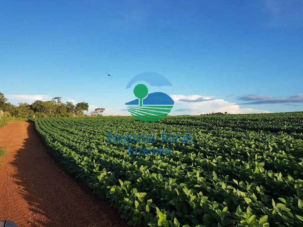 Farm for sale of 2,044 acres in Gurupi, TO, Brazil
