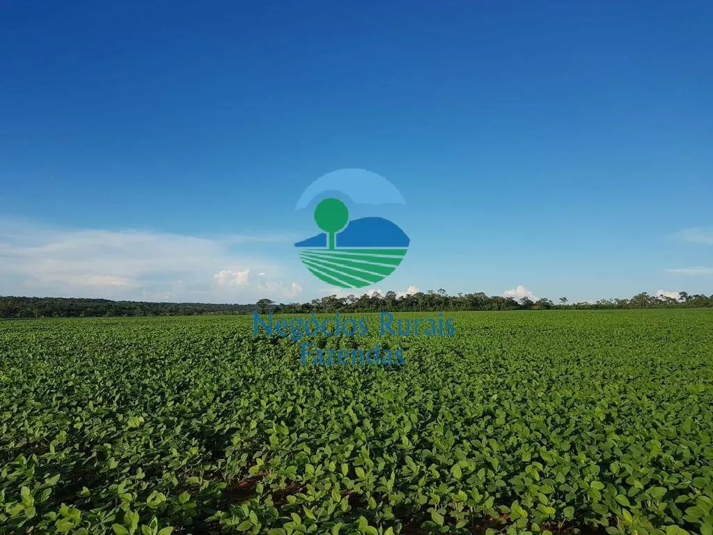 Fazenda à venda de 827 ha em Gurupi, TO, Brasil