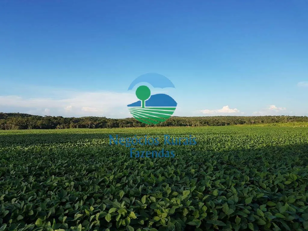 Farm for sale of 2,044 acres in Gurupi, TO, Brazil