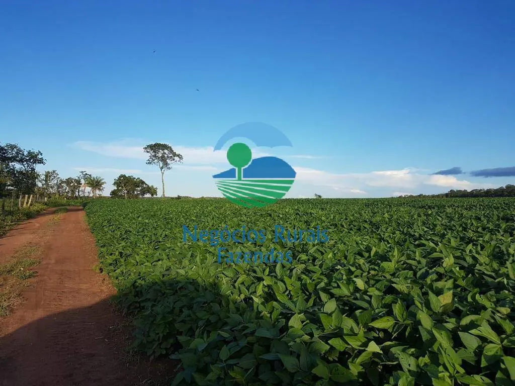 Farm for sale of 2,044 acres in Gurupi, TO, Brazil