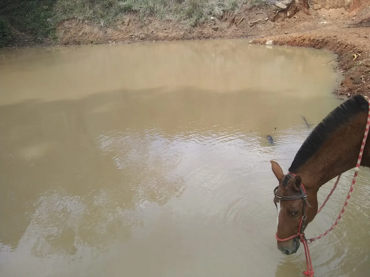 Sítio à venda de 44 ha em Ouro Fino, MG, Brasil