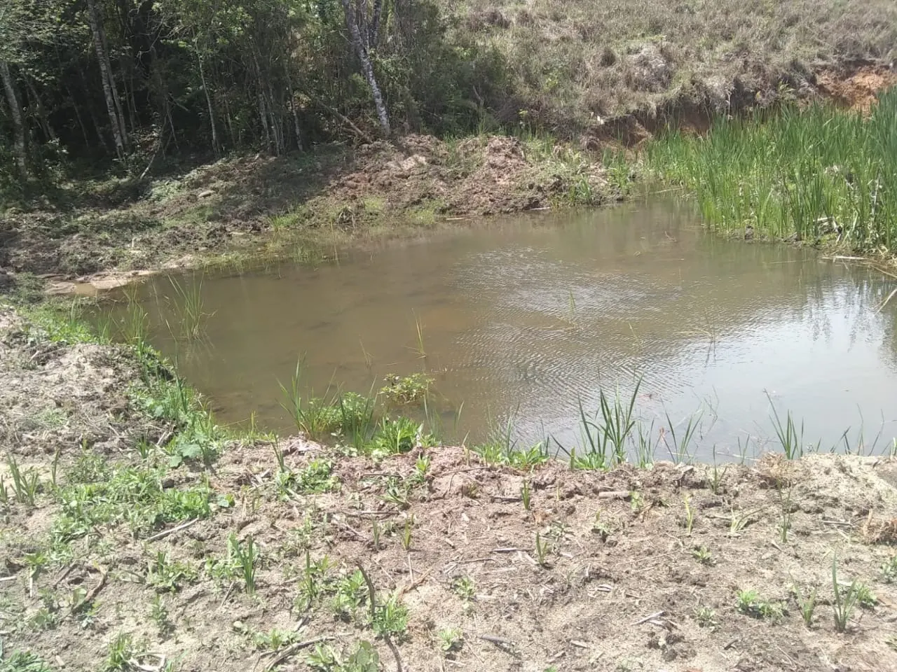 Sítio à venda de 44 ha em Ouro Fino, MG, Brasil
