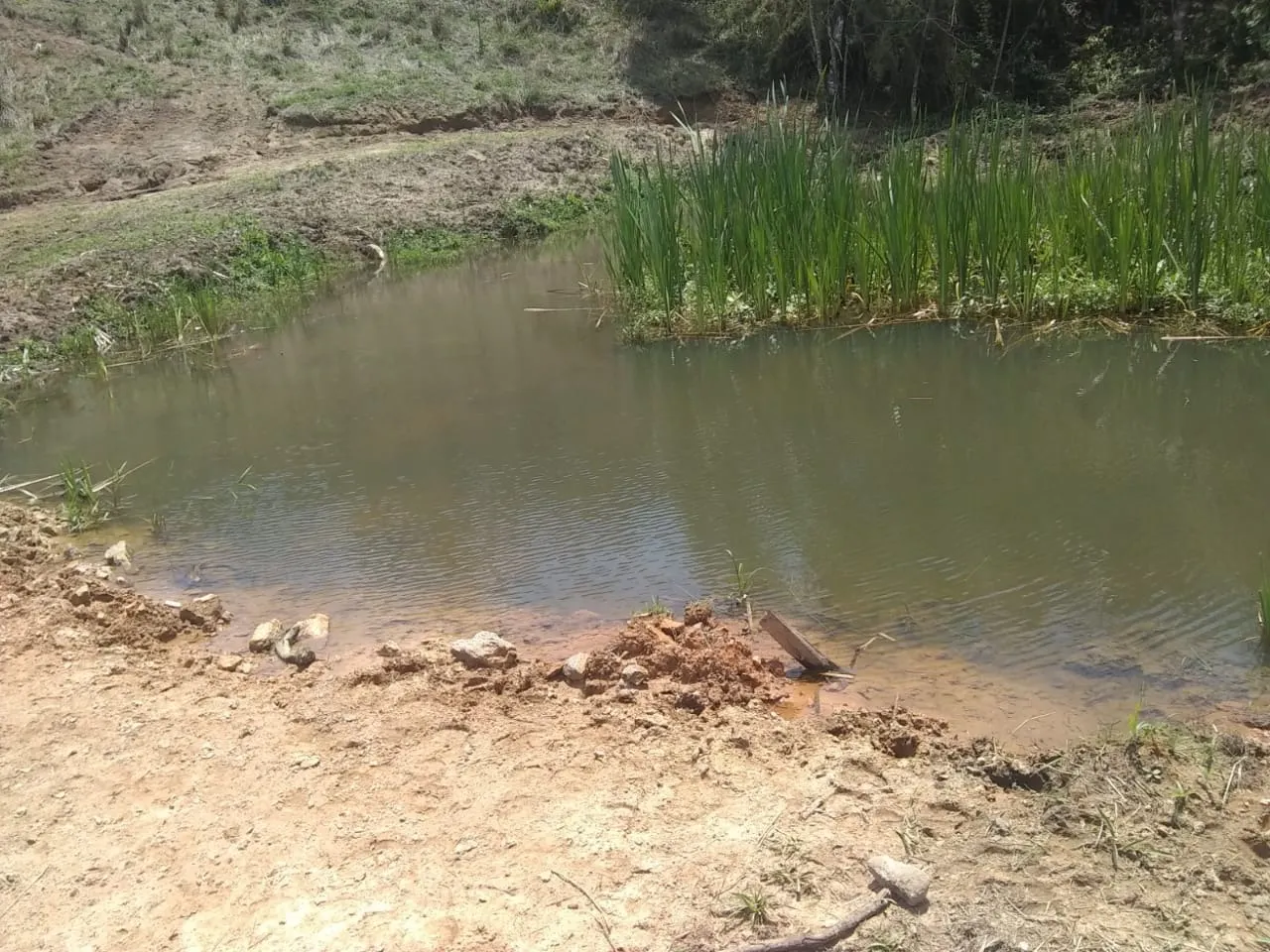Sítio à venda de 44 ha em Ouro Fino, MG, Brasil