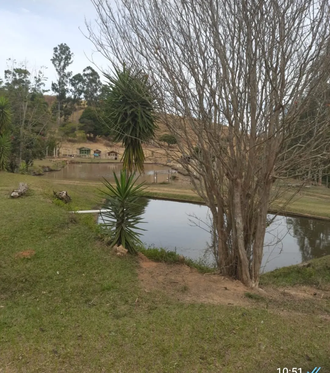 Sítio à venda de 44 ha em Ouro Fino, MG, Brasil