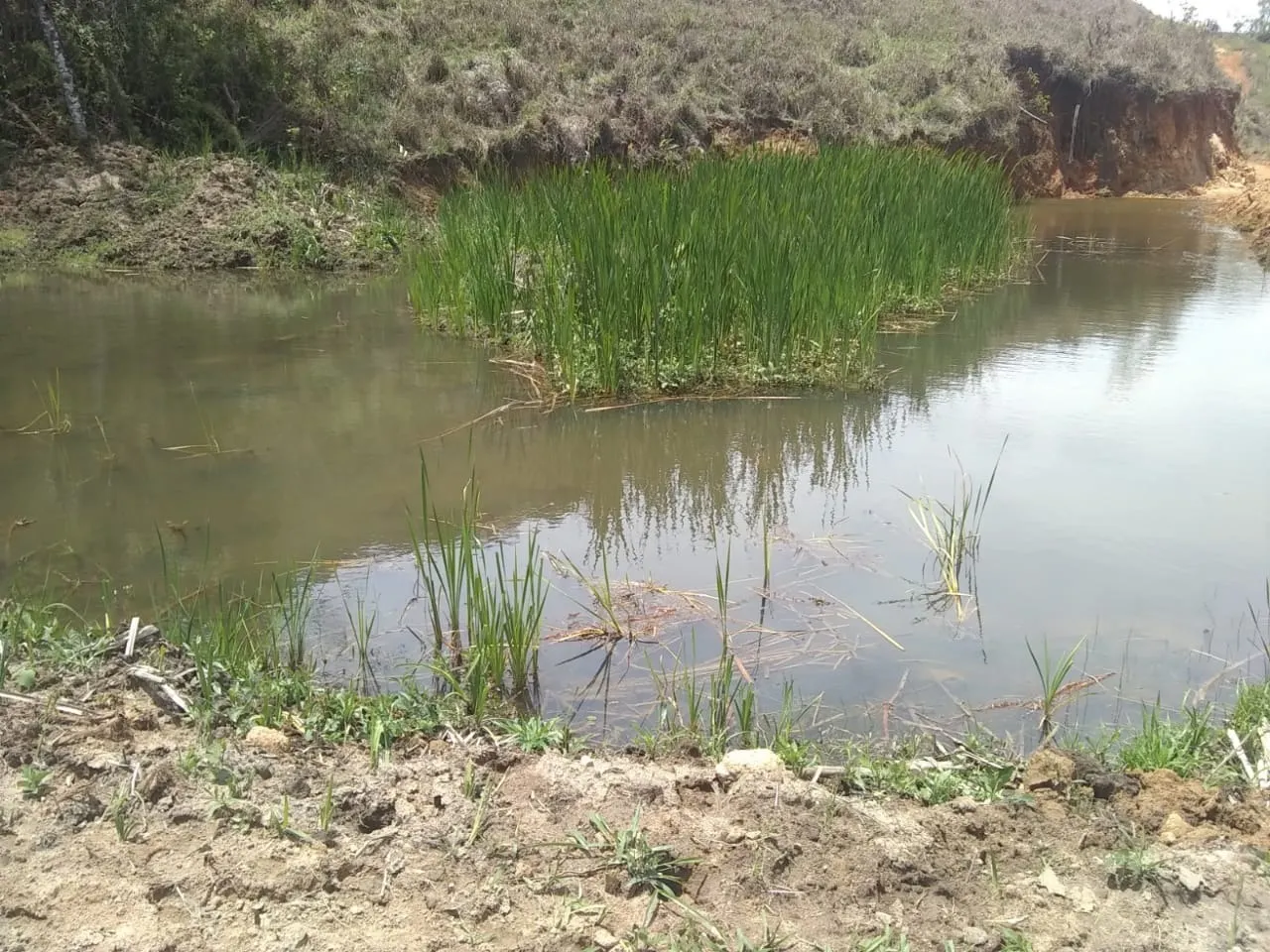 Sítio à venda de 44 ha em Ouro Fino, MG, Brasil
