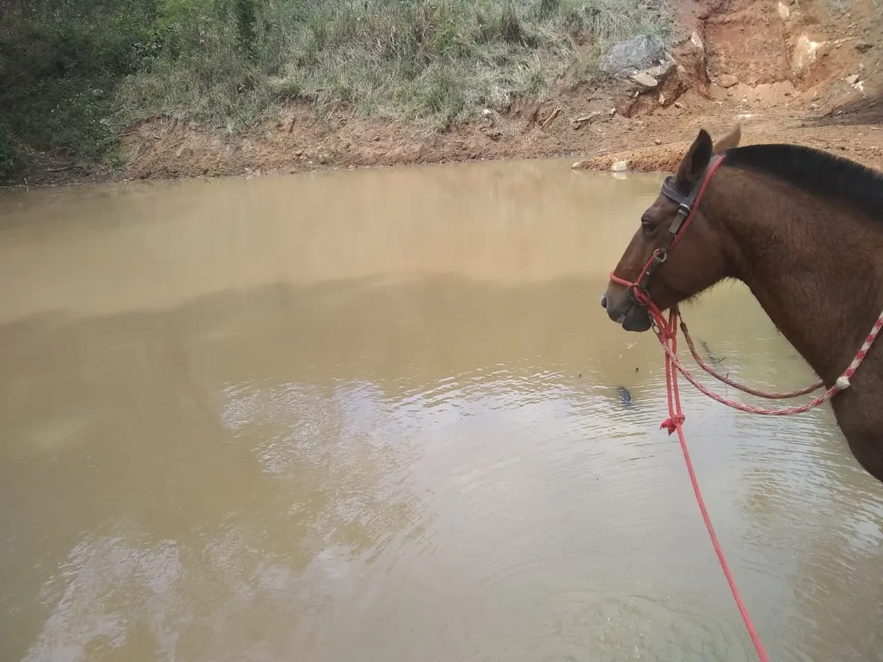 Sítio à venda de 44 ha em Ouro Fino, MG, Brasil