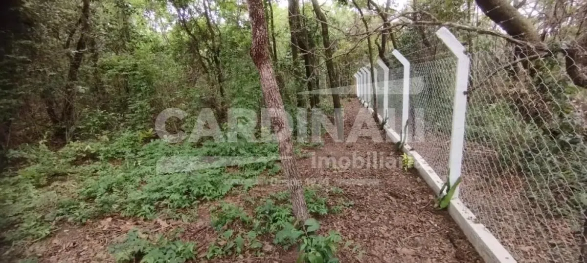 Country home for sale of 2,500 m² in São Carlos, SP, Brazil
