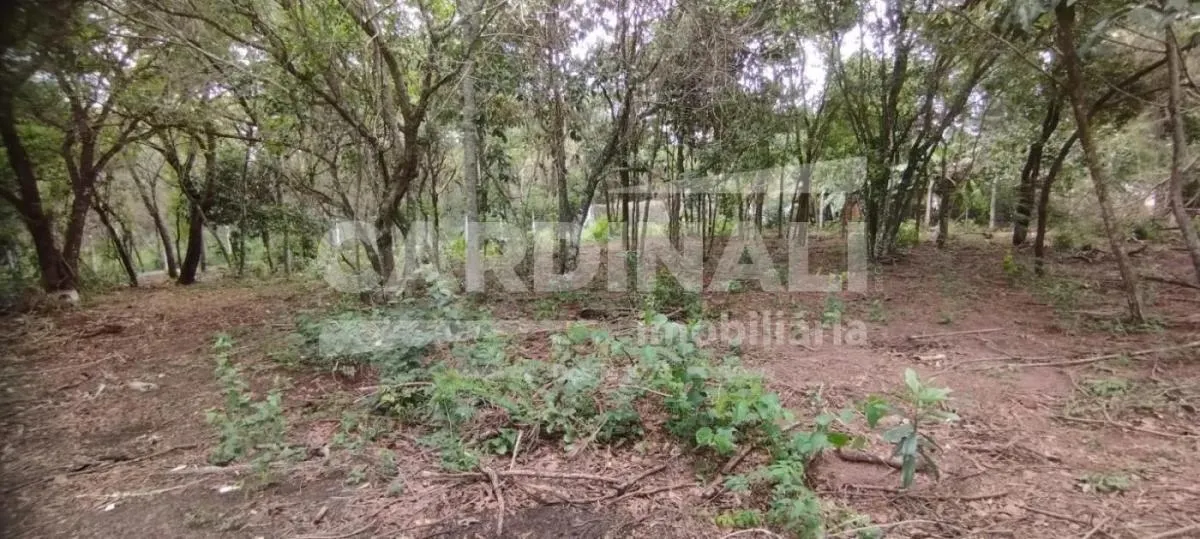 Country home for sale of 2,500 m² in São Carlos, SP, Brazil