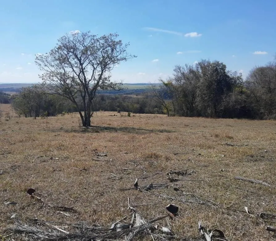 Sítio à venda de 75 ha em Anhembi, SP, Brasil