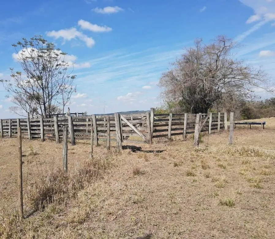 Sítio à venda de 75 ha em Anhembi, SP, Brasil