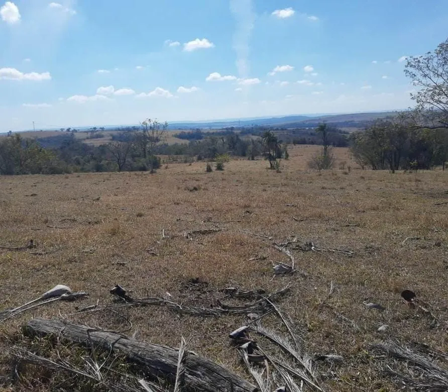 Sítio à venda de 75 ha em Anhembi, SP, Brasil