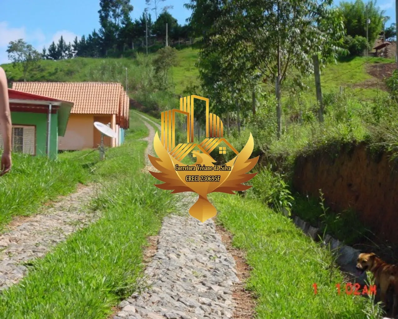 Sítio à venda e para Arrendar de 3 ha em Santa Branca, SP, Brasil