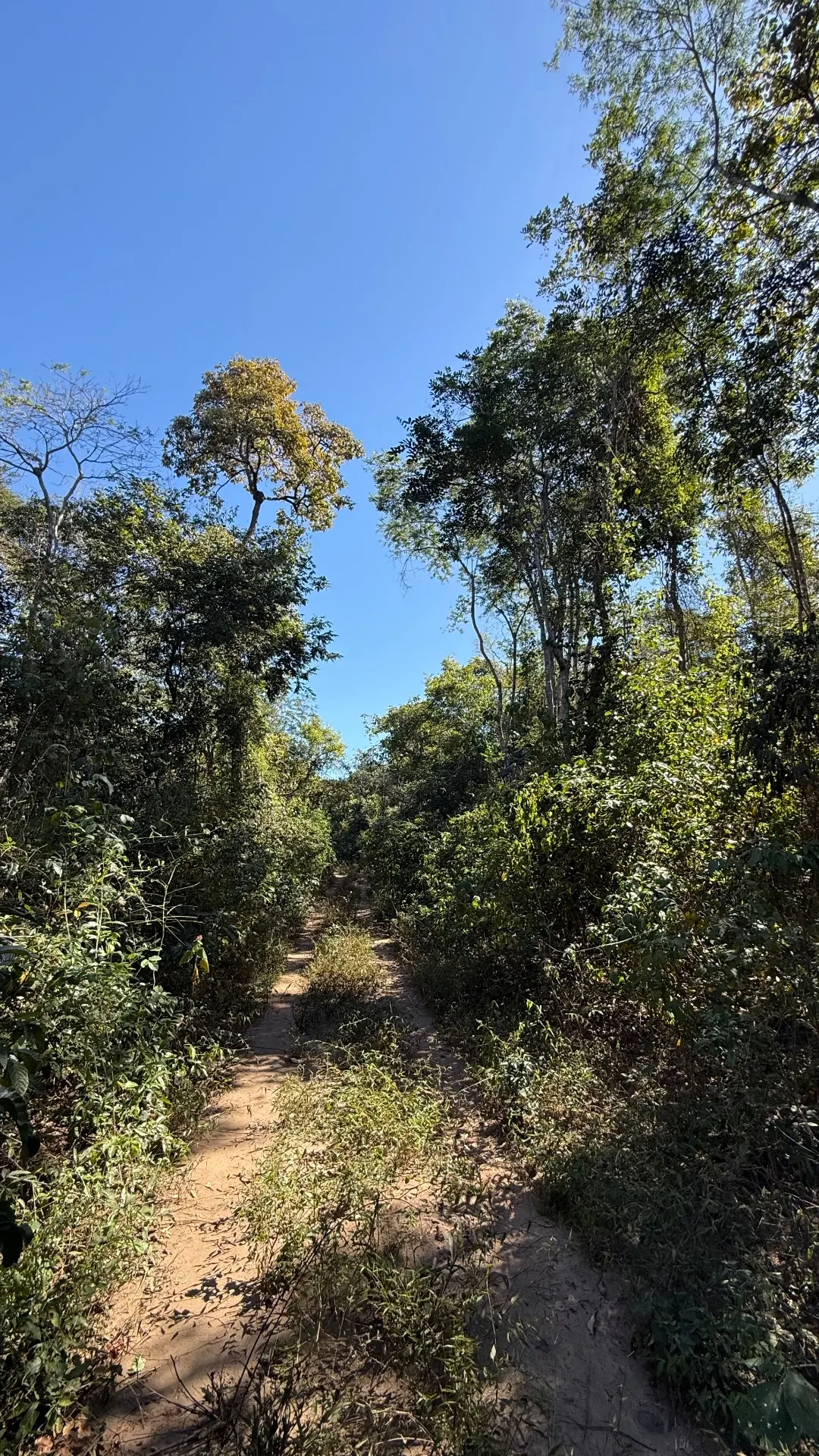 Terreno à venda de 40.000 ha em Lençóis, BA, Brasil