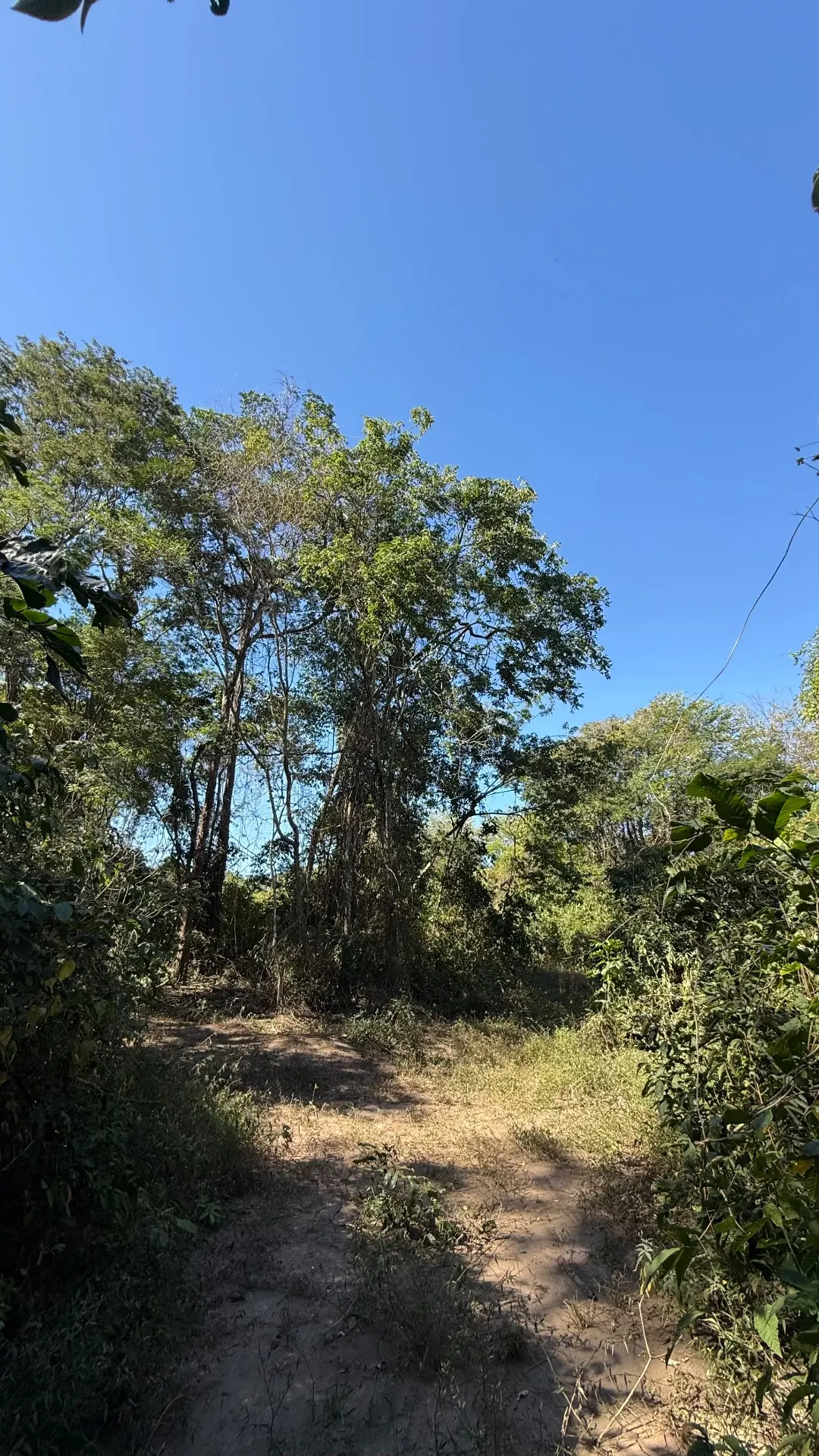 Terreno à venda de 40.000 ha em Lençóis, BA, Brasil