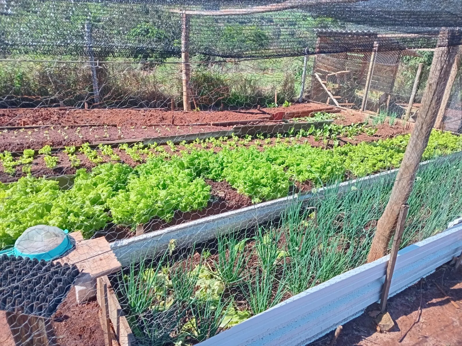Pousada à venda de 4.000 m² em Timburi, SP, Brasil