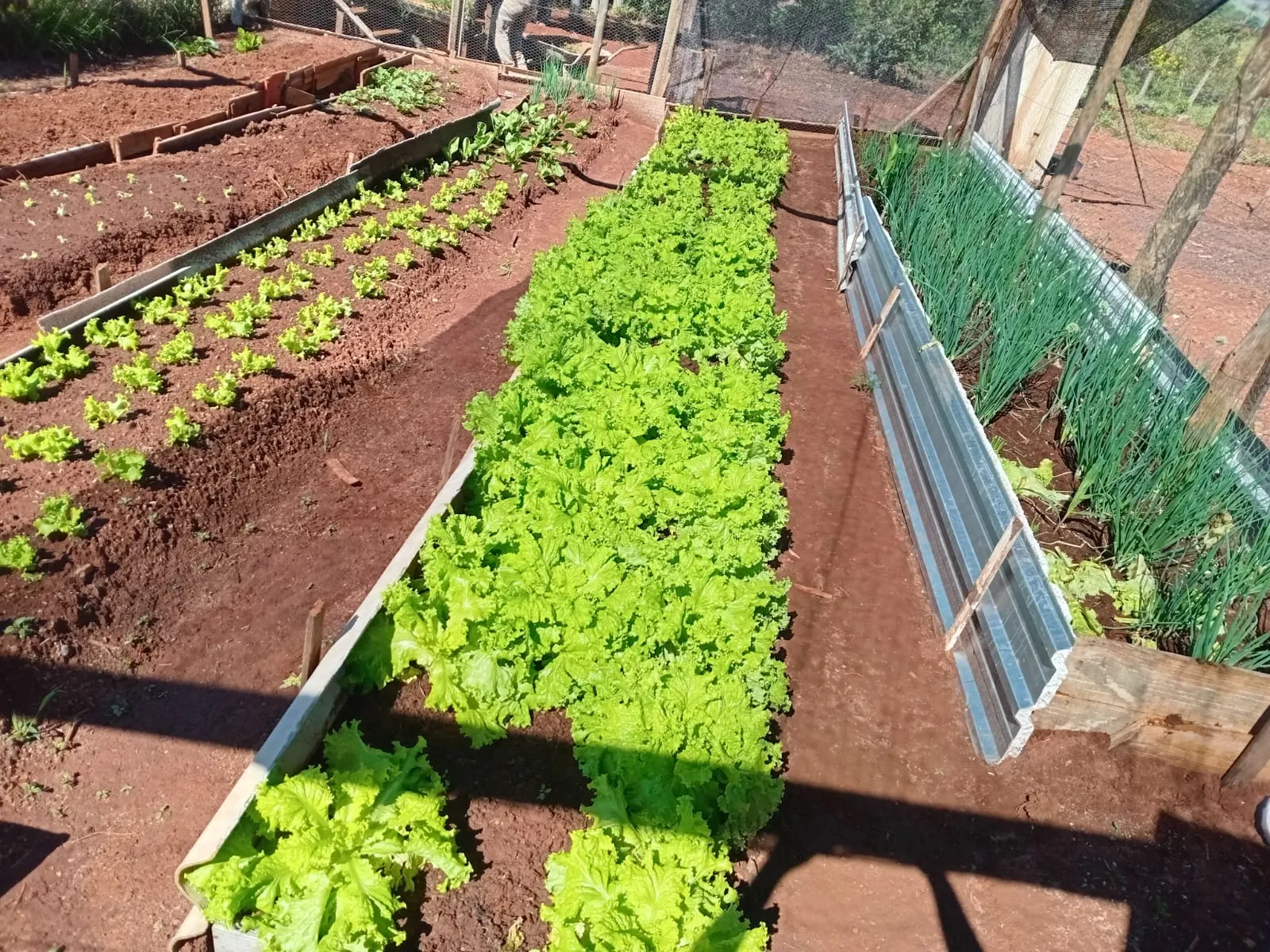 Pousada à venda de 4.000 m² em Timburi, SP, Brasil