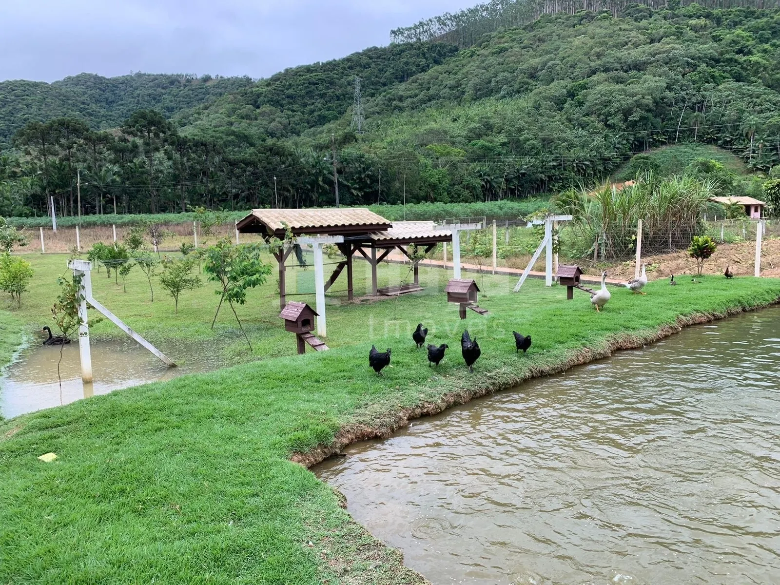 Chácara à venda de 2 ha em Major Gercino, SC, Brasil