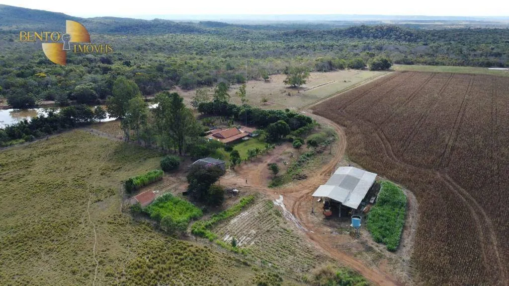 Fazenda à venda de 1.300 ha em Planalto da Serra, MT, Brasil