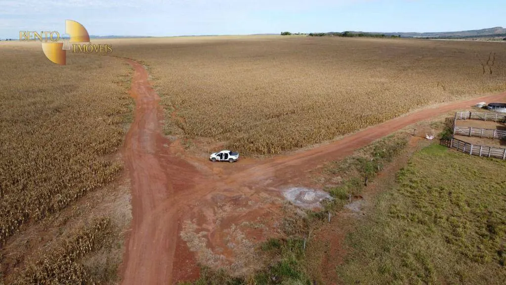 Fazenda à venda de 1.300 ha em Planalto da Serra, MT, Brasil
