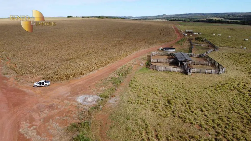 Fazenda à venda de 1.300 ha em Planalto da Serra, MT, Brasil