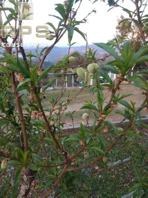 Country home for sale of 6 acres in Atibaia, SP, Brazil