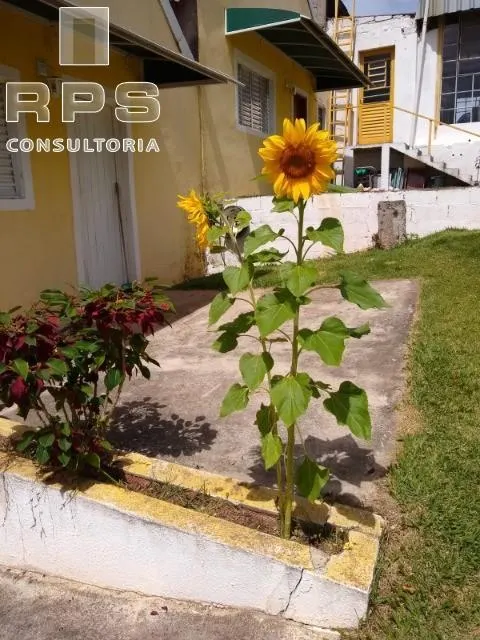 Country home for sale of 6 acres in Atibaia, SP, Brazil