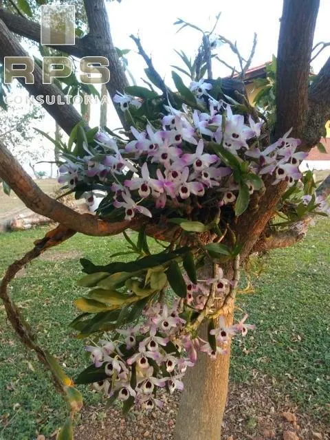 Country home for sale of 6 acres in Atibaia, SP, Brazil