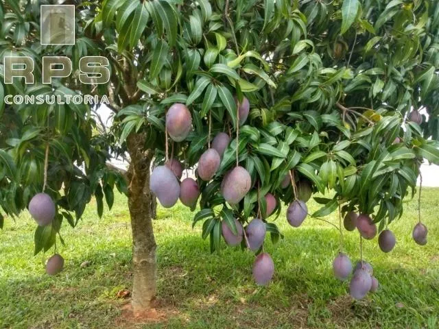 Country home for sale of 6 acres in Atibaia, SP, Brazil