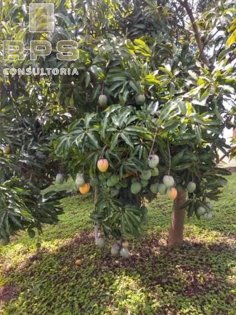 Country home for sale of 6 acres in Atibaia, SP, Brazil