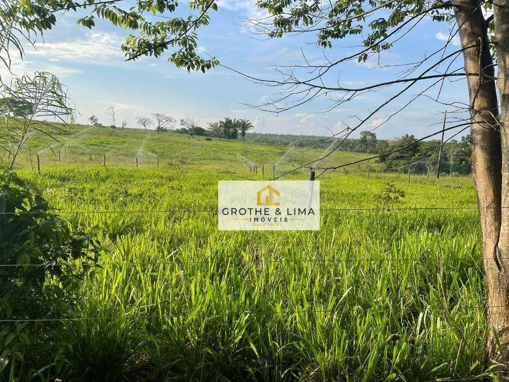 Farm for sale of 1,363 acres in Araguaína, TO, Brazil