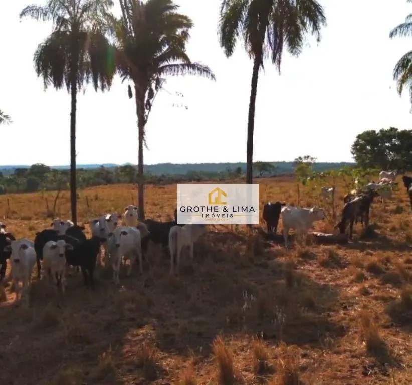 Farm for sale of 1,363 acres in Araguaína, TO, Brazil