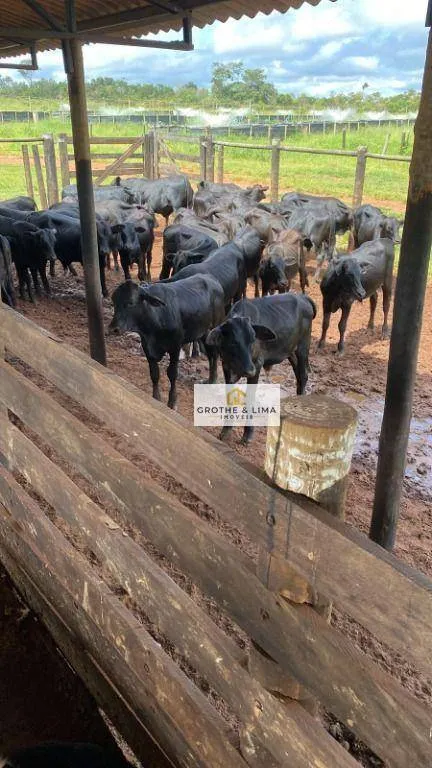 Farm for sale of 1,363 acres in Araguaína, TO, Brazil