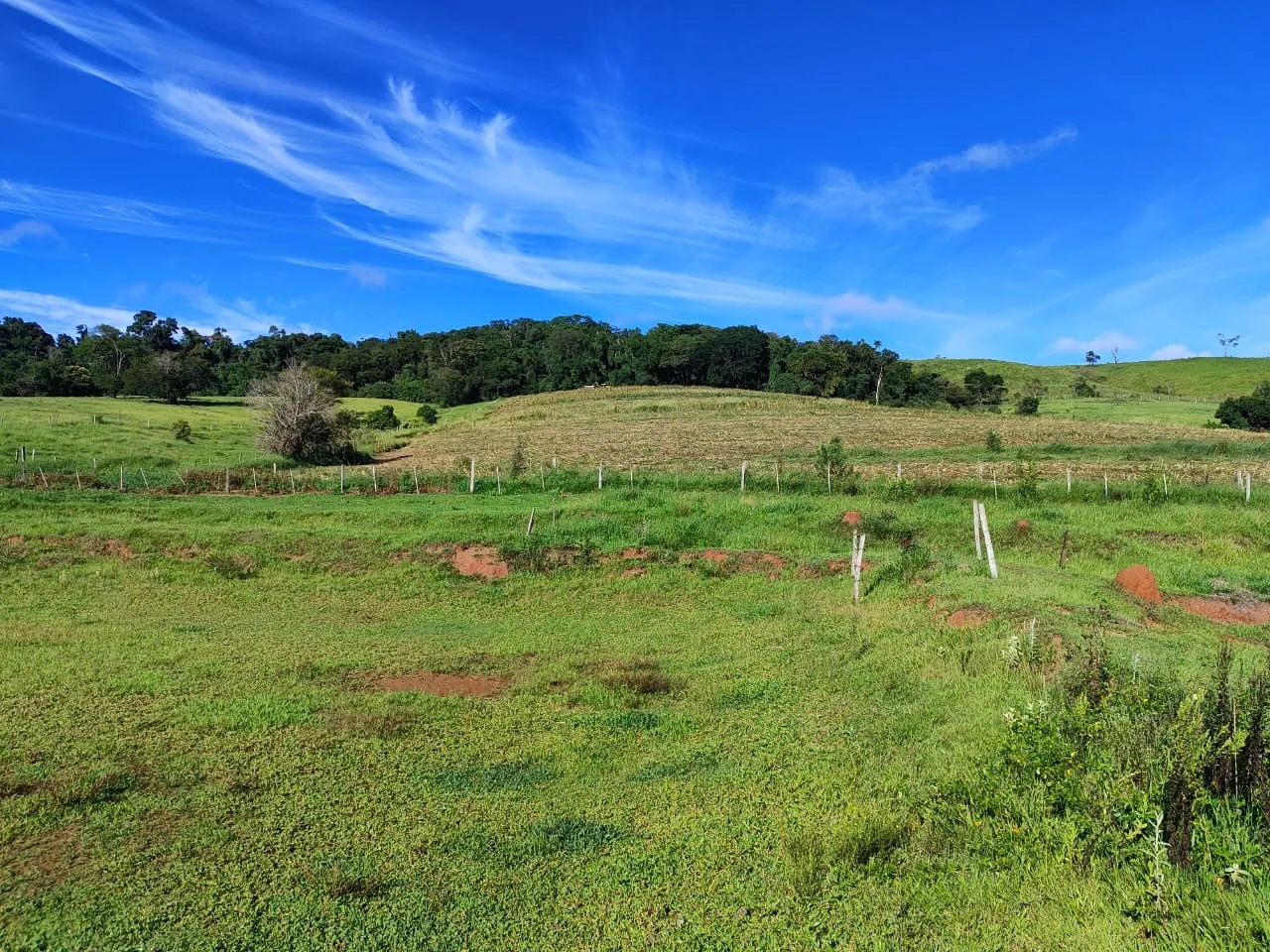 Sítio à venda de 75 ha em Angatuba, SP, Brasil