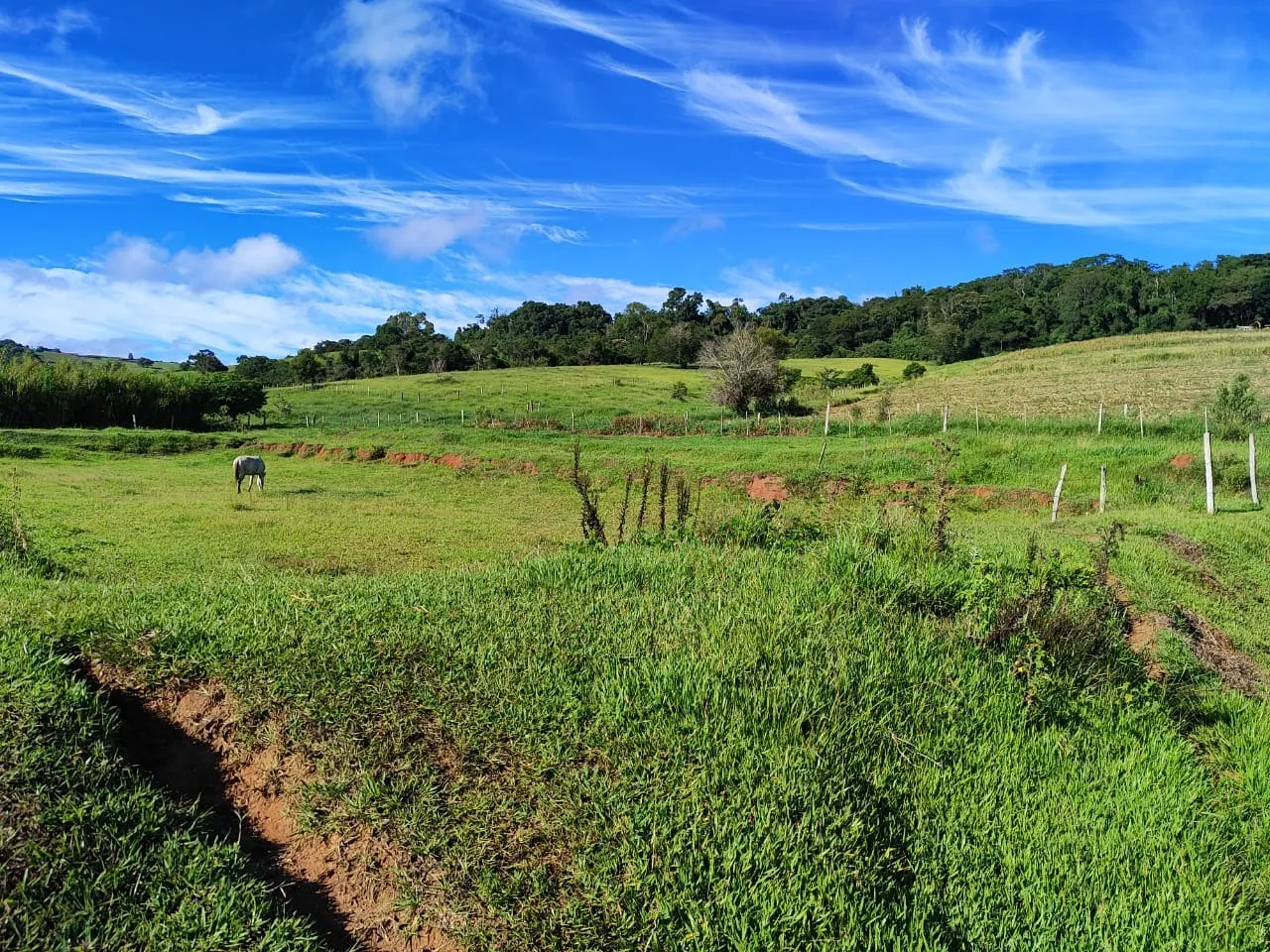 Sítio à venda de 75 ha em Angatuba, SP, Brasil