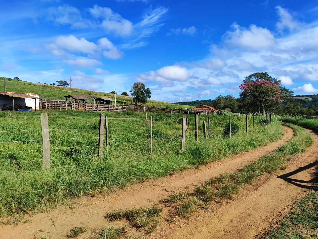 Sítio à venda de 75 ha em Angatuba, SP, Brasil