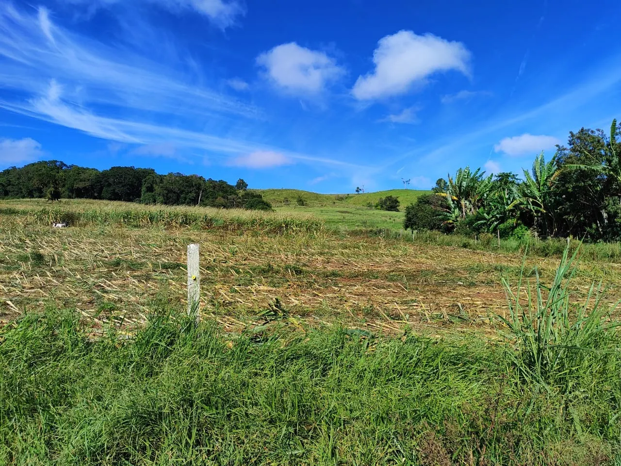 Sítio à venda de 75 ha em Angatuba, SP, Brasil