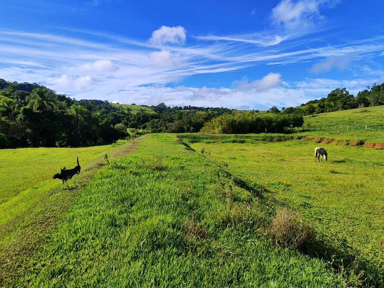 Sítio à venda de 75 ha em Angatuba, SP, Brasil