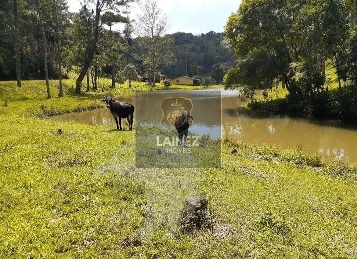 Sítio à venda de 7 ha em São Lourenço da Serra, SP, Brasil