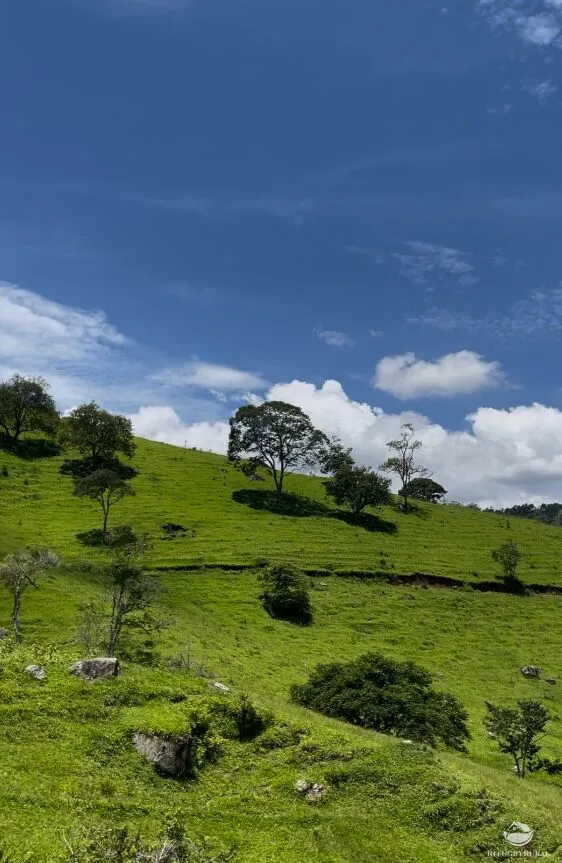 Terreno à venda de 11 ha em São Bento do Sapucaí, SP, Brasil