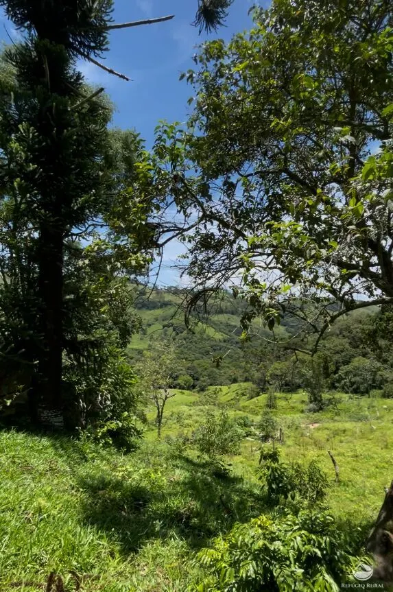 Plot for sale of 27 acres in São Bento do Sapucaí, SP, Brazil