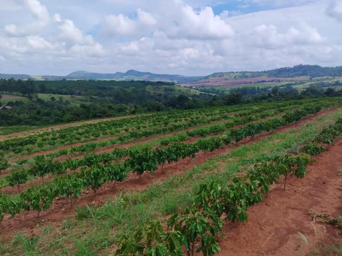 Small farm for sale of 54 acres in Cássia dos Coqueiros, SP, Brazil
