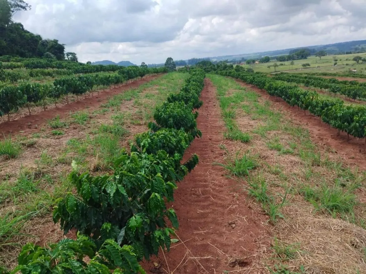 Small farm for sale of 54 acres in Cássia dos Coqueiros, SP, Brazil