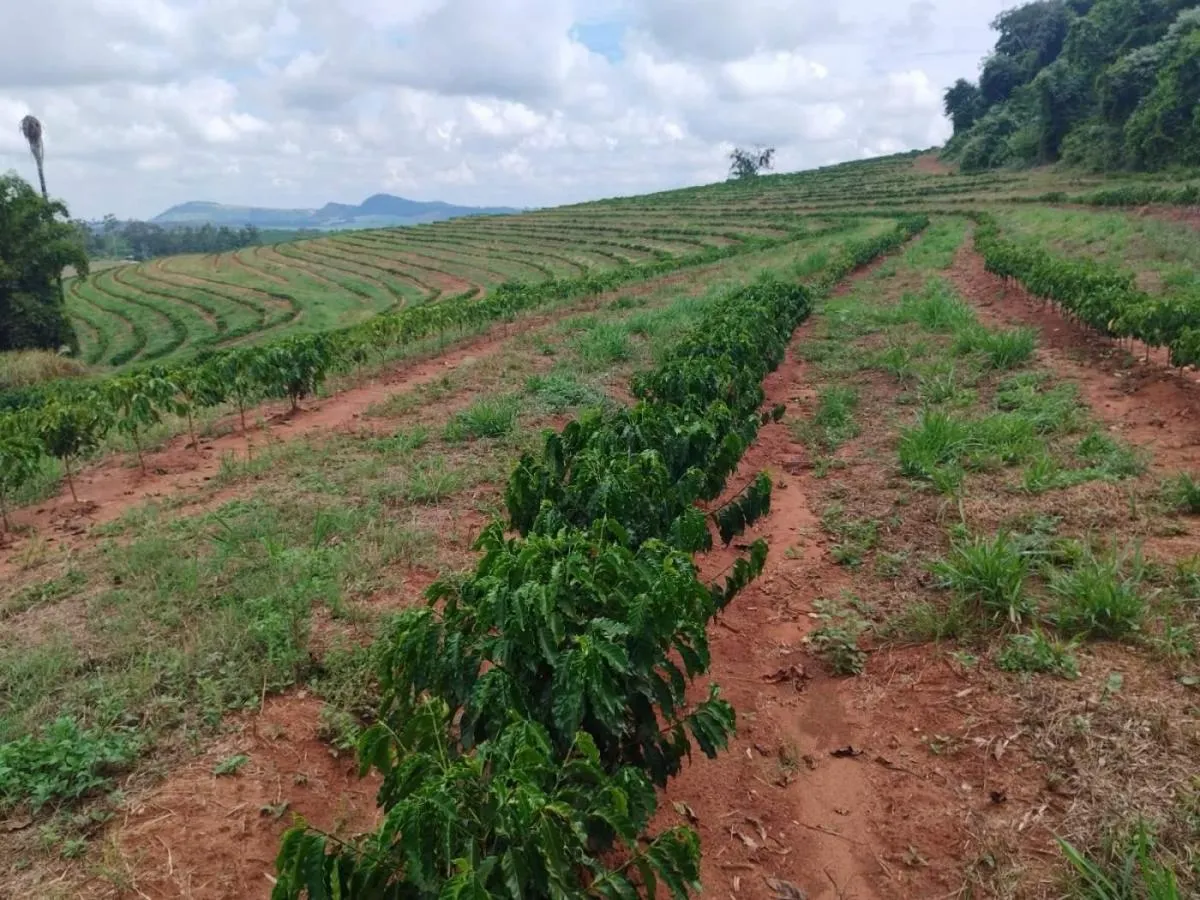 Small farm for sale of 54 acres in Cássia dos Coqueiros, SP, Brazil