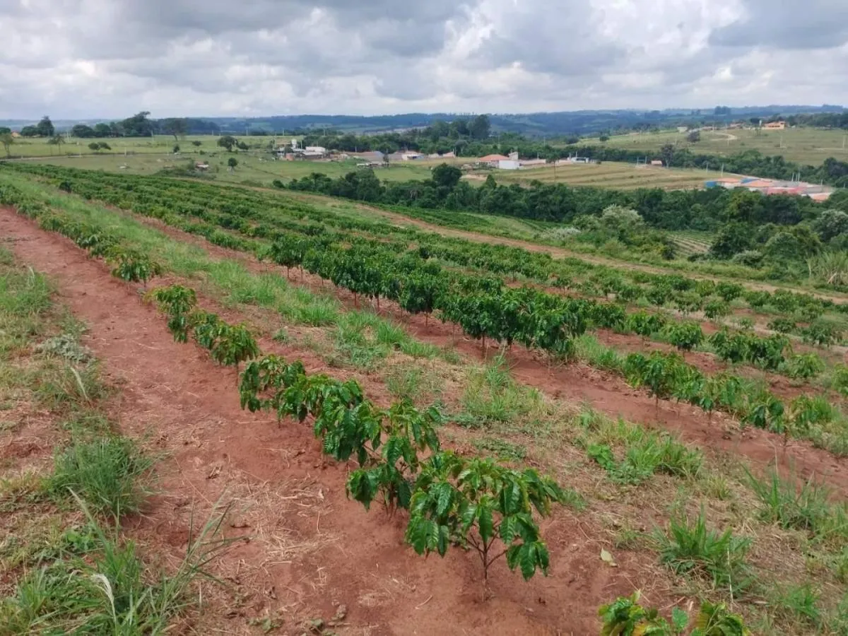 Small farm for sale of 54 acres in Cássia dos Coqueiros, SP, Brazil