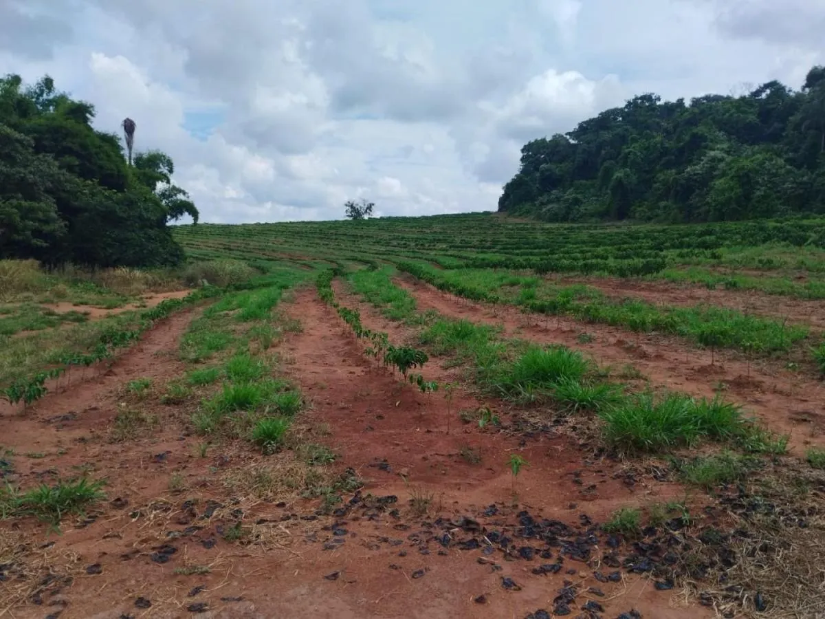 Sítio à venda de 22 ha em Cássia dos Coqueiros, SP, Brasil