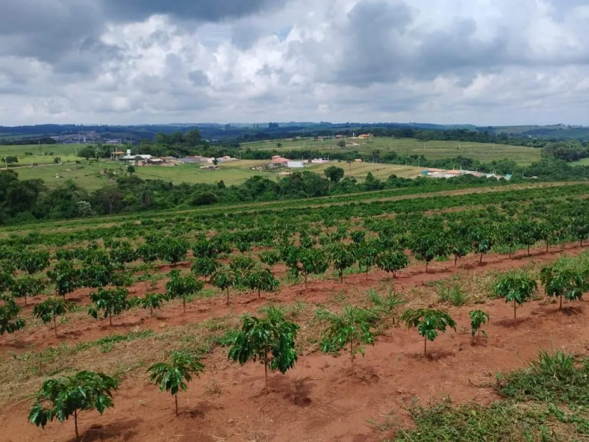 Small farm for sale of 54 acres in Cássia dos Coqueiros, SP, Brazil