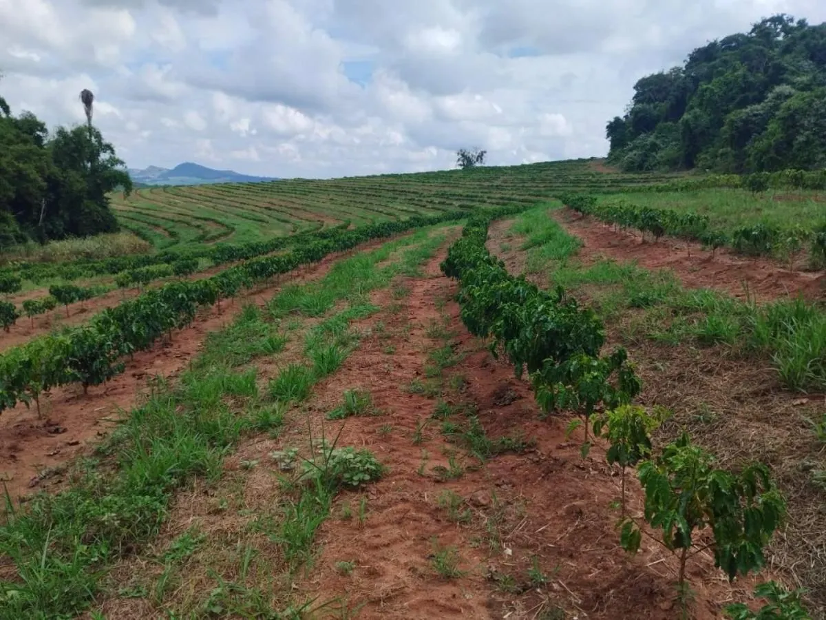 Small farm for sale of 54 acres in Cássia dos Coqueiros, SP, Brazil