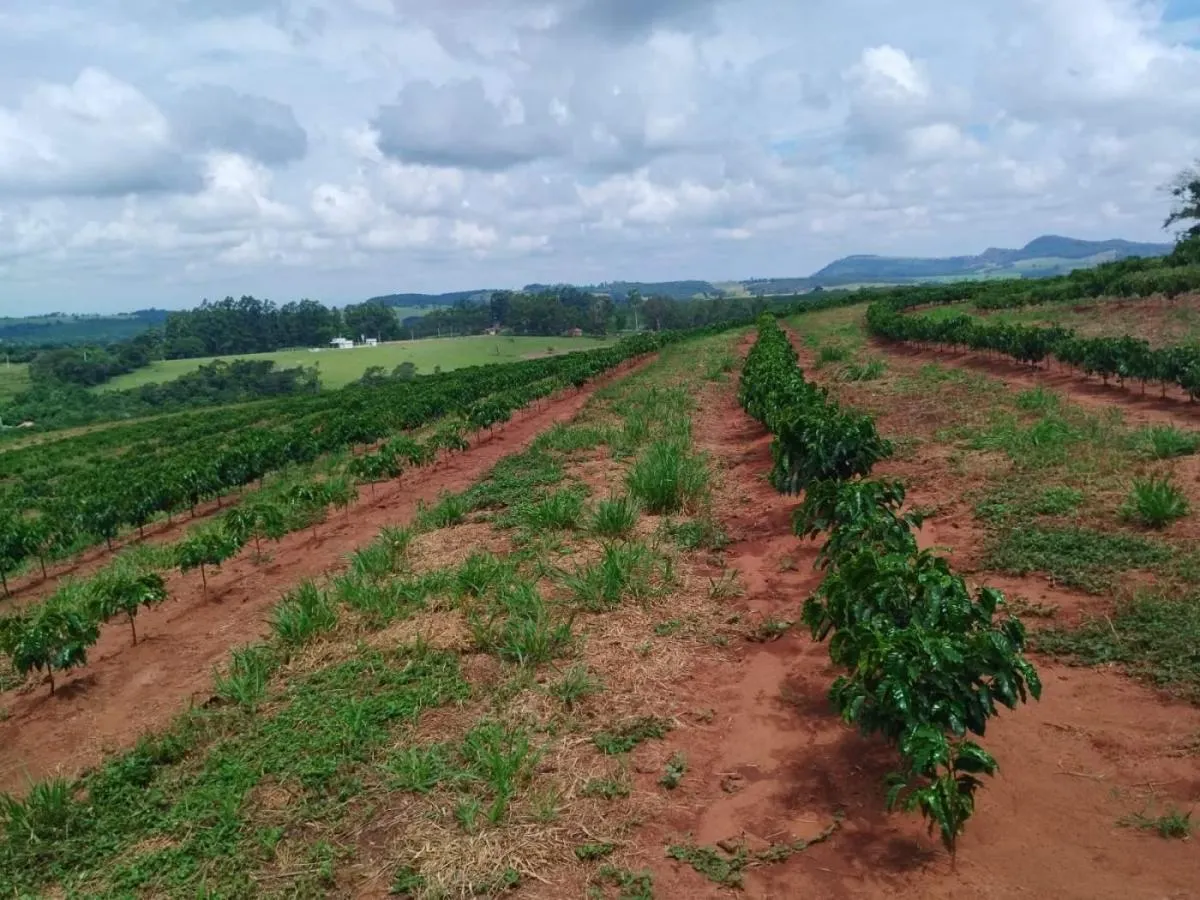 Small farm for sale of 54 acres in Cássia dos Coqueiros, SP, Brazil
