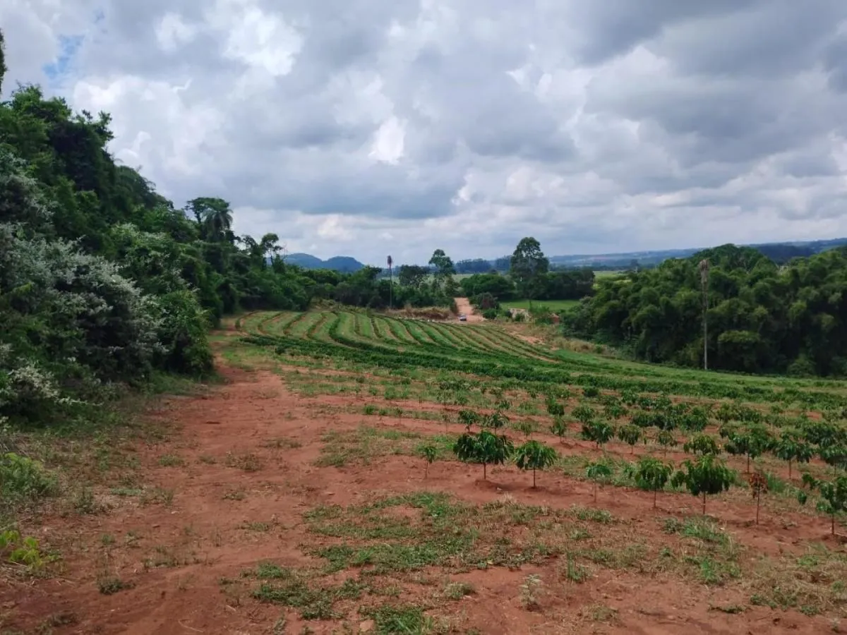 Small farm for sale of 54 acres in Cássia dos Coqueiros, SP, Brazil