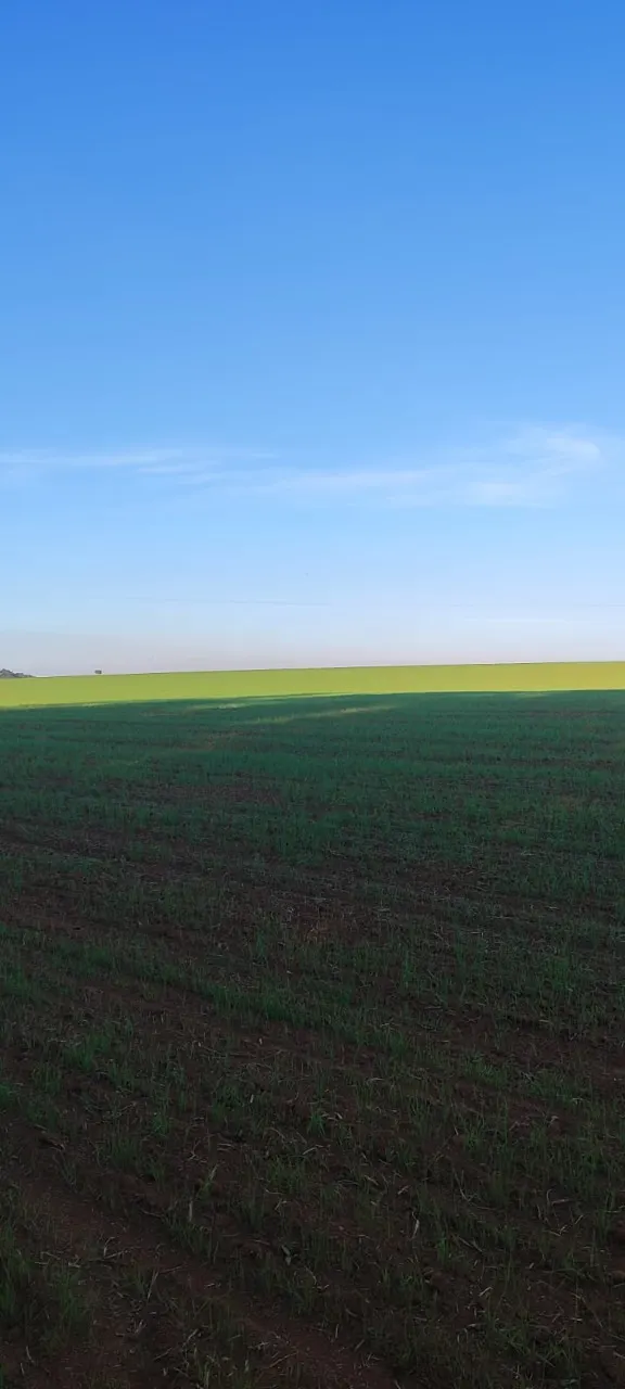 Fazenda à venda de 90 ha em Quadra, SP, Brasil
